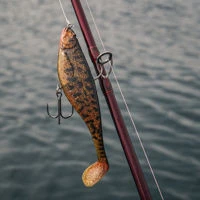 Westin Shadteez RNR Lures 16cm/55g